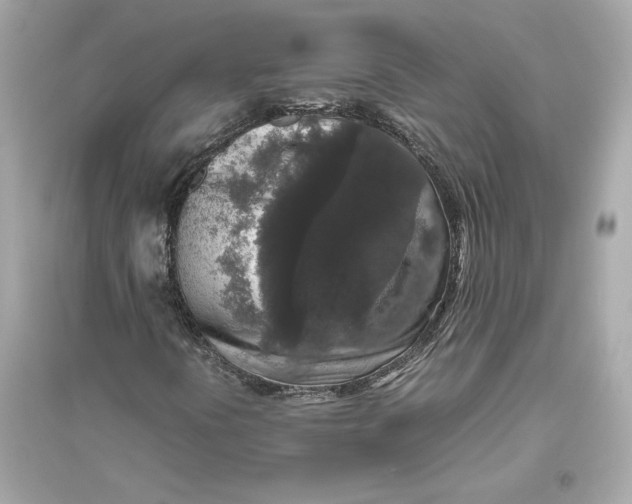 X0000094821394200711301619