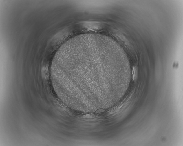 X0000094821395200711301619
