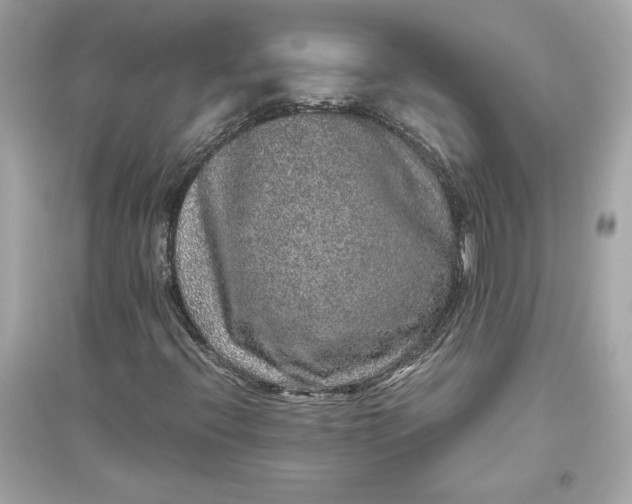 X0000094821396200711301619