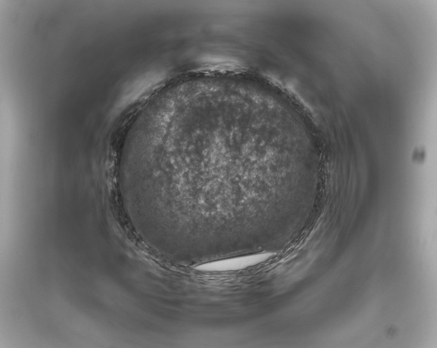 X0000094821399200711301619