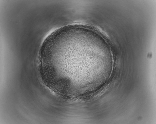 X0000094821400200711301619
