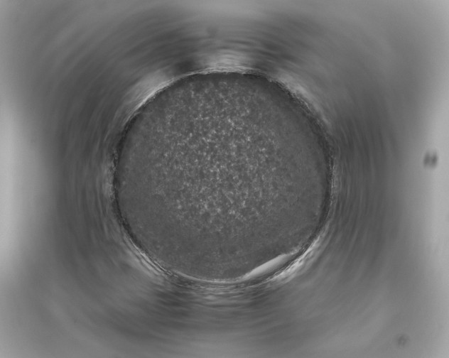 X0000094821401200711301619