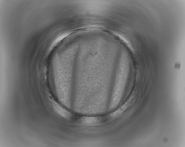 X0000094821402200711301619
