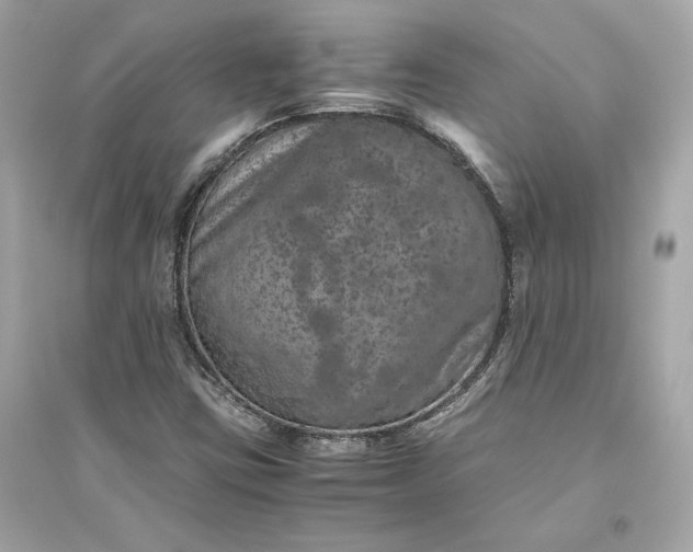 X0000094821403200711301619