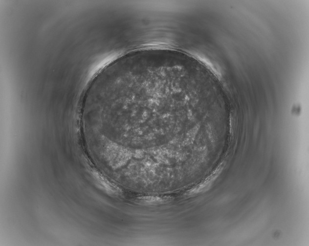 X0000094821405200711301619