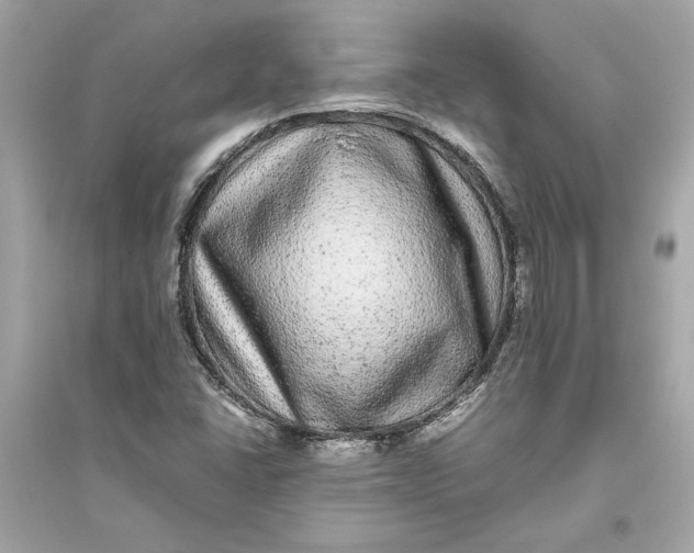 X0000094821406200711301619