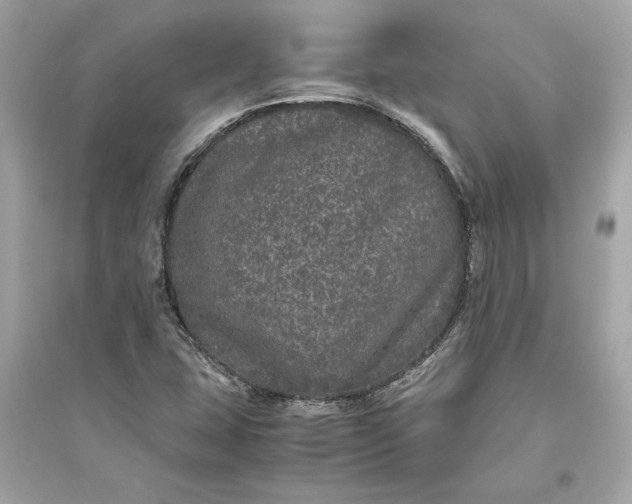 X0000094821407200711301619