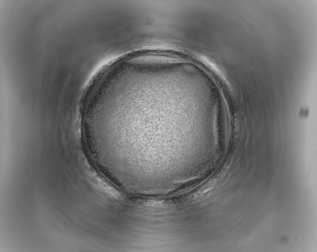 X0000094821408200711301619