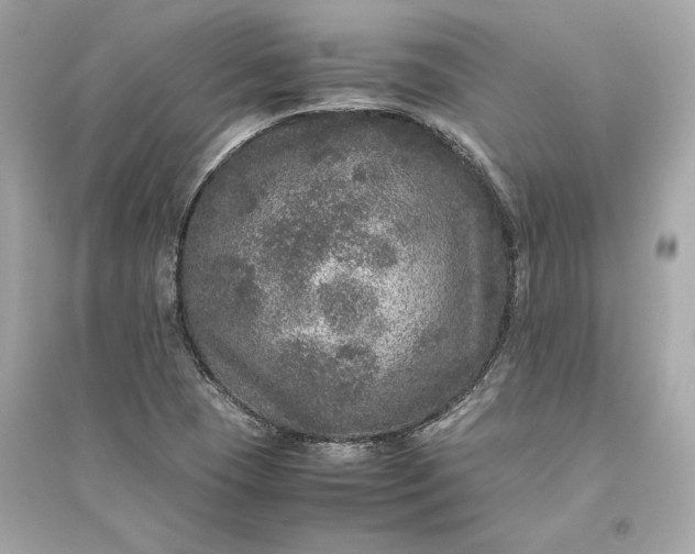 X0000094821409200711301620