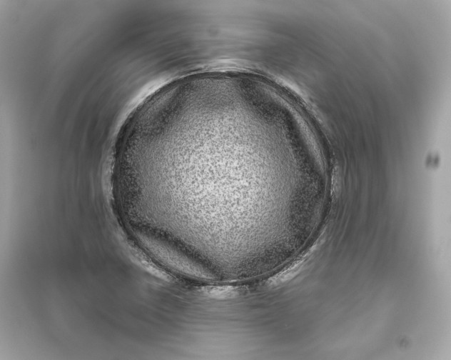X0000094821410200711301620