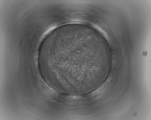 X0000094821411200711301620