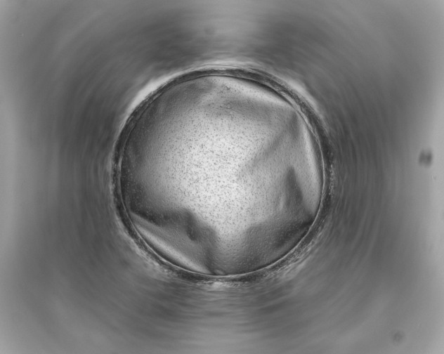 X0000094821412200711301620