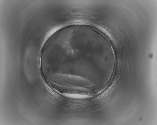 X0000094821413200711301620