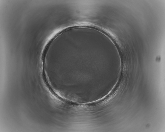 X0000094821414200711301620