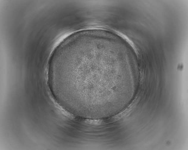 X0000094821415200711301620