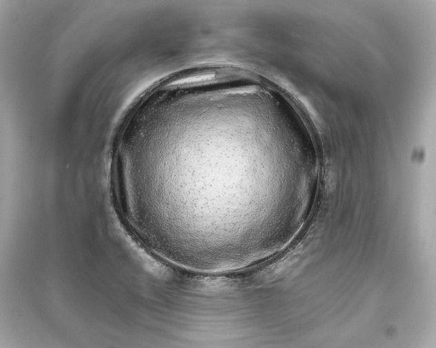 X0000094821416200711301620