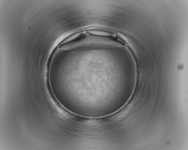 X0000094821418200711301620