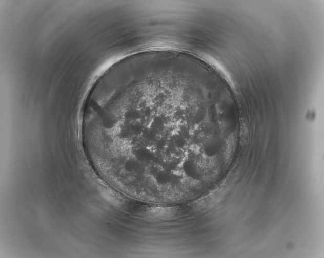 X0000094821419200711301620