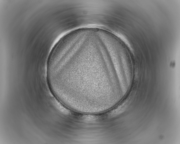 X0000094821420200711301620