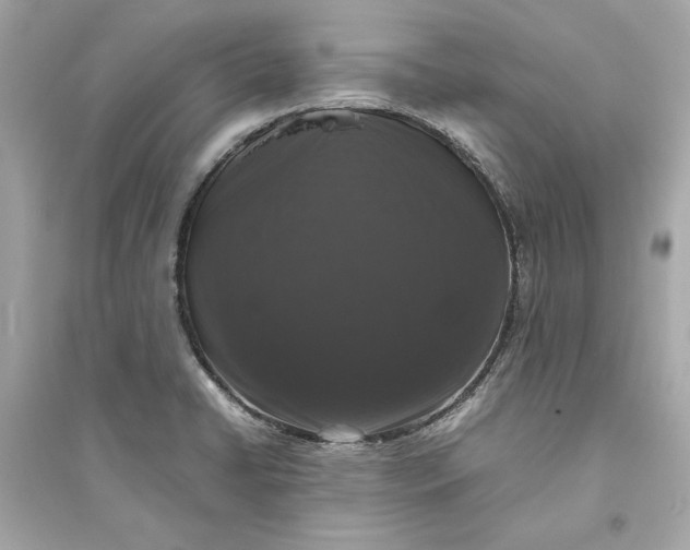 X0000094821422200711301620