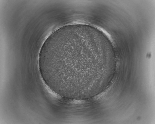 X0000094821423200711301620