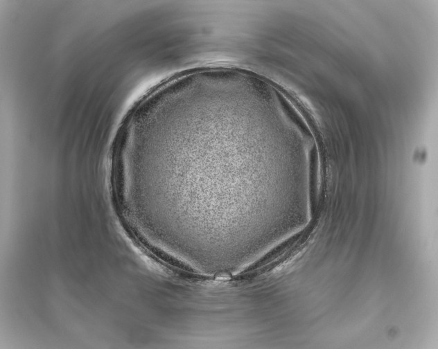 X0000094821424200711301620