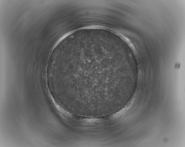 X0000094821425200711301620
