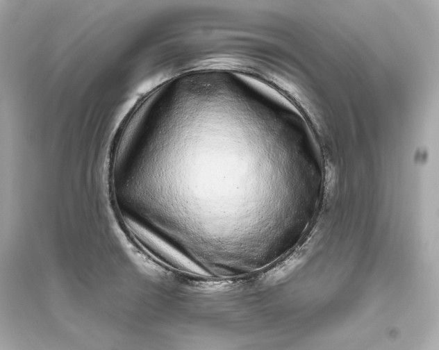 X0000094821426200711301620