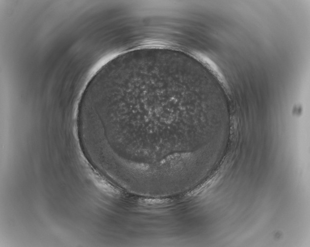 X0000094821427200711301620