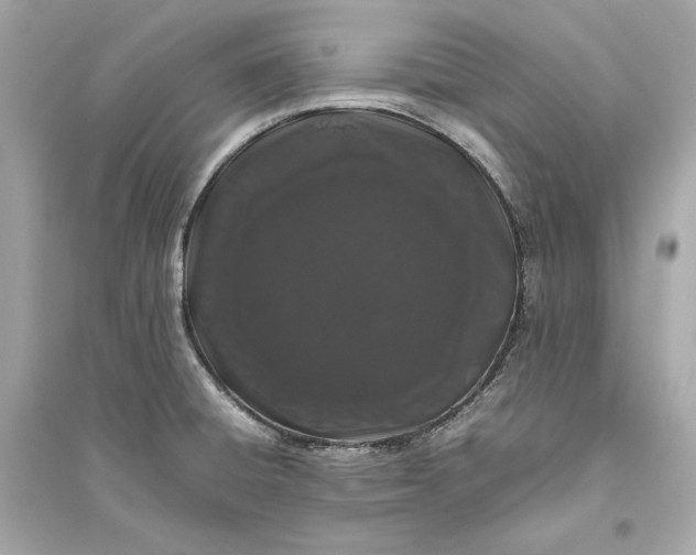 X0000094821428200711301620