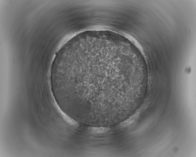 X0000094821429200711301620