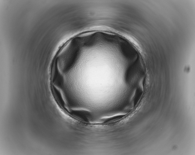 X0000094821430200711301620