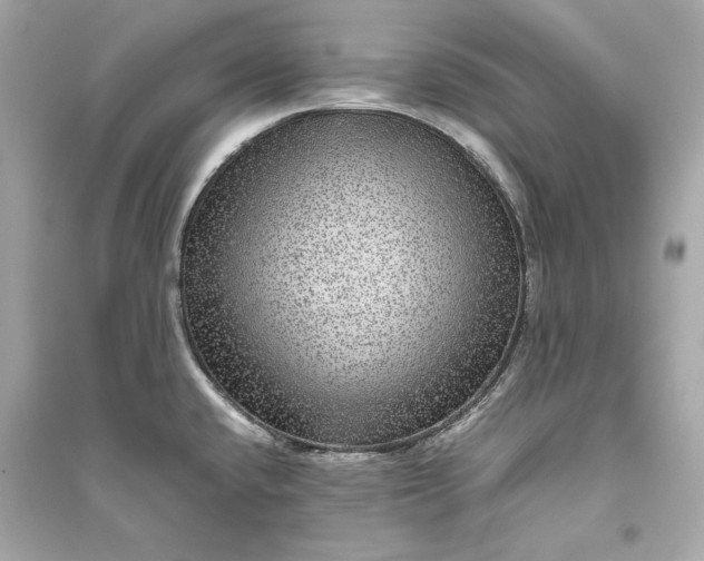 X0000094821432200711301620