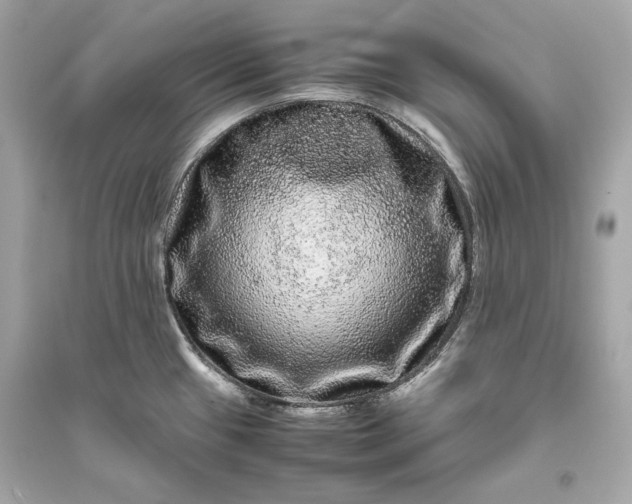 X0000094821433200711301620
