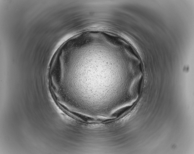 X0000094821434200711301620