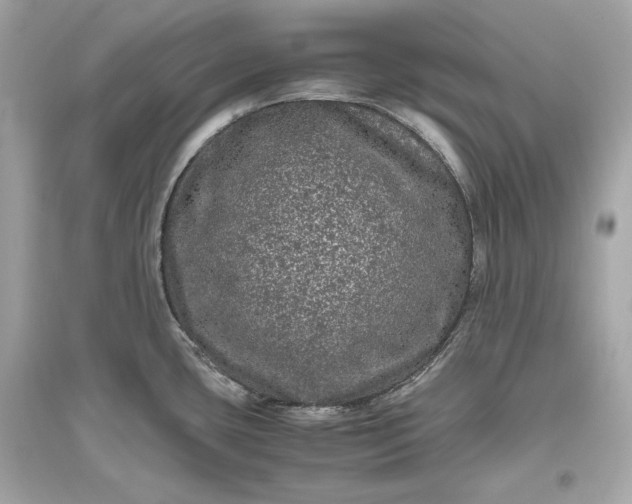 X0000094821435200711301620