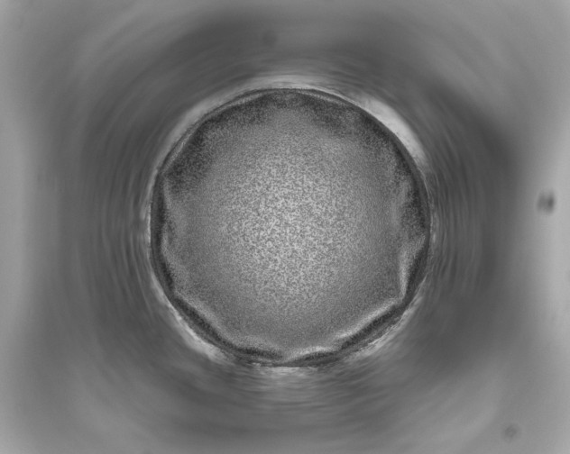 X0000094821436200711301620