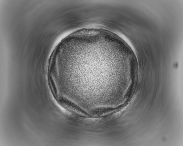 X0000094821437200711301620