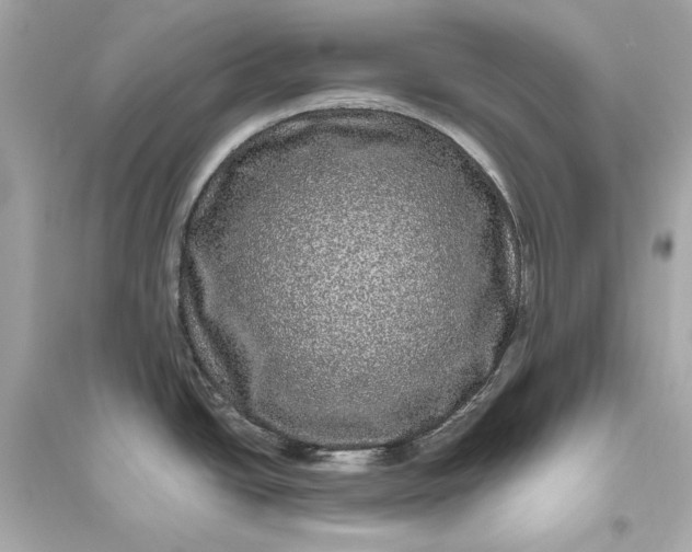 X0000094821438200711301620