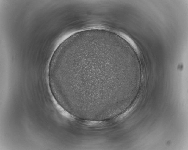 X0000094821439200711301620