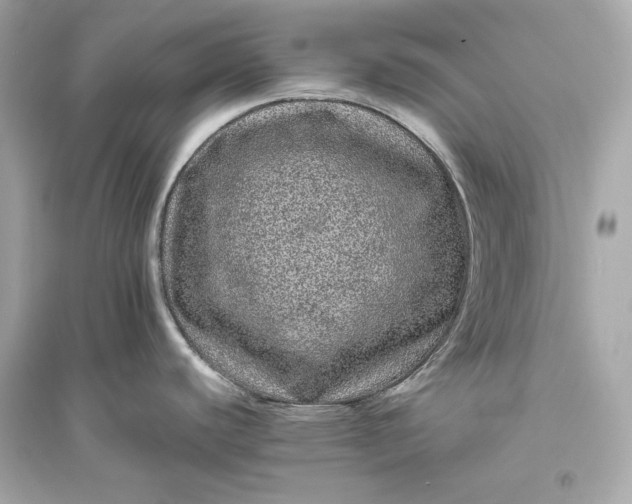 X0000094821440200711301620