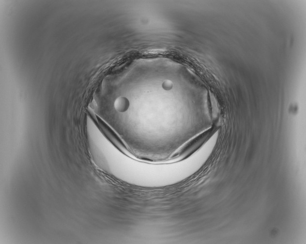 X0000094821441200711301619
