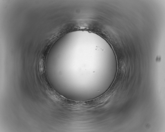 X0000094821442200711301619