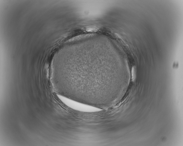 X0000094821443200711301619