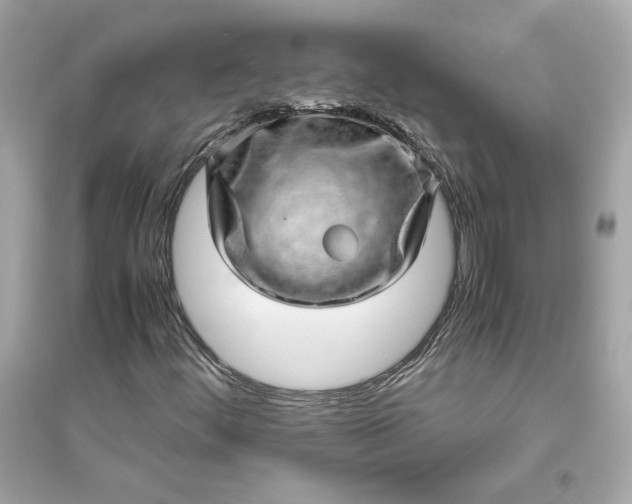 X0000094821444200711301619