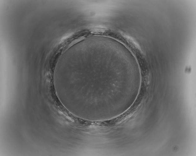 X0000094821445200711301619