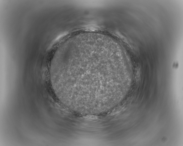 X0000094821446200711301619