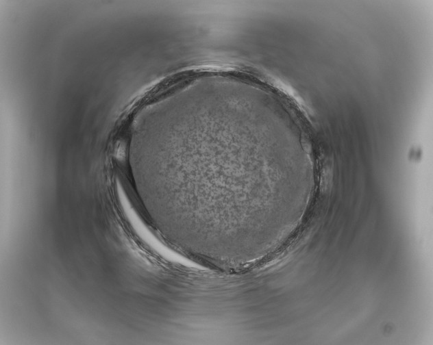 X0000094821448200711301619