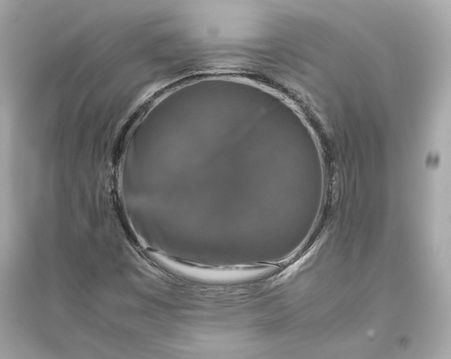 X0000094821449200711301619