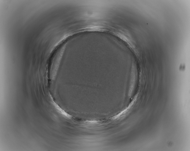 X0000094821450200711301619
